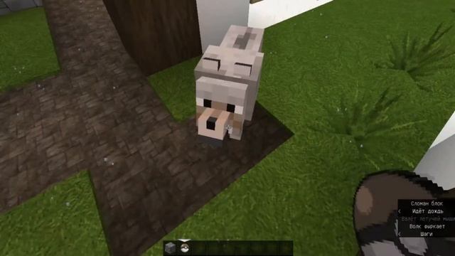 МОБЫ ИЗ МАЙНКРАФТ В РЕАЛЬНОЙ ЖИЗНИ! / MINECRAFT IN REAL LIFE!