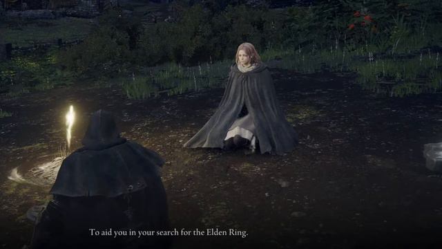 what happens if you refuse the maiden in elden ring? смотреть онлайн