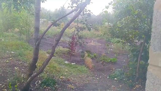 Экономные закупки ? Планирование ? Прекрасный отдых ? Я люблю ❤️ #буднимамы #мотивация #закупка смотреть онлайн