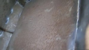 самодельная кормушка для свиней (поросят)