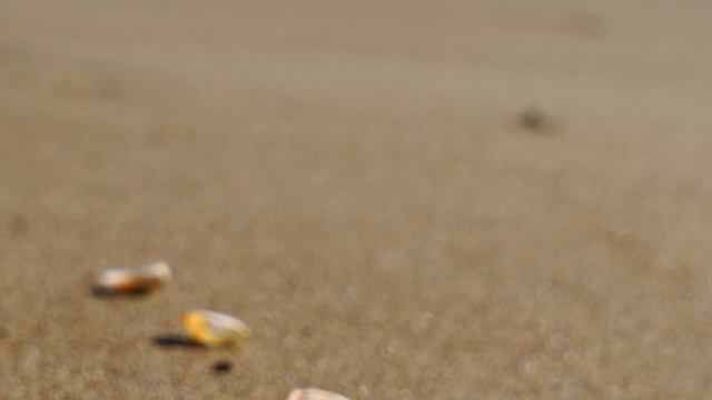 Морские рассказы. ч.1 смотреть онлайн