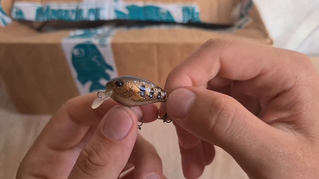 Видеообзор воблера Pontoon 21 Fop 32F-SR с Fmagazin