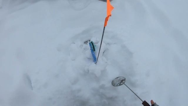 ЖОР ЩУКИ в ЩУЧЬЕМ ЛОГОВЕ!!! МЫ в ШОКЕ!!! Сработки одна за другой!!! Рыбалка на жерлицы 2121-2022... смотреть онлайн