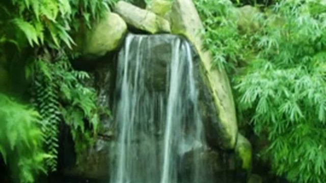 ОЧИСТКА БИОПОЛЯ И ПРОСТРАНСТВА. МАНТРЫ ТИБЕТА смотреть онлайн