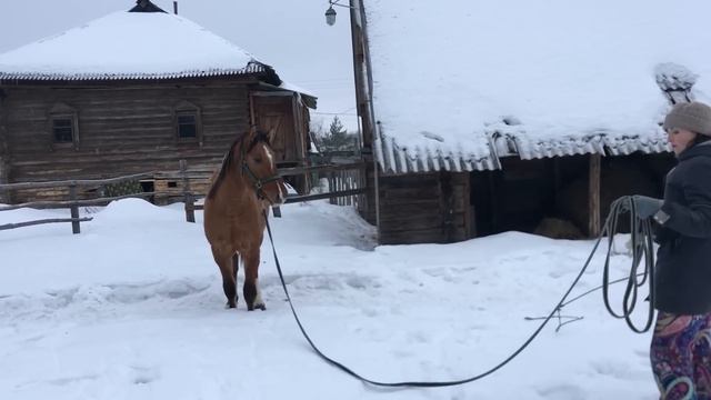 ПРИХОДИТСЯ БРАТЬ ВСЕ В СВОИ РУКИ. НАЧИНАЕМ РАБОТАТЬ С ЖЕРЕБЕНКОМ. ЖИЗНЬ ПРОСТЫХ ЛЮДЕЙ В ДЕРЕВНЕ смотреть онлайн