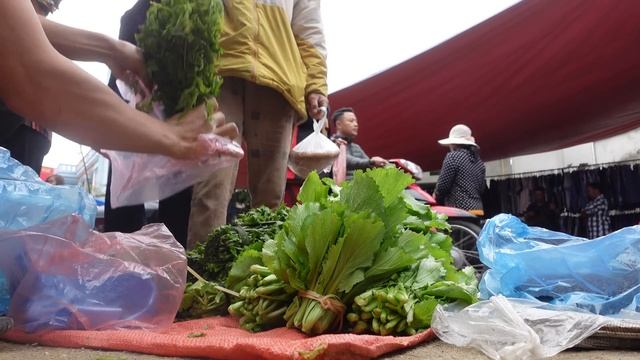 A Great Day Selling Vegetables At The Market, Save Money, Build A Farm, Live With Nature. #114