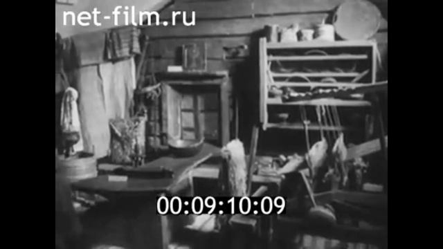 1971г. Петрозаводск. Карельский государственный музей. смотреть онлайн