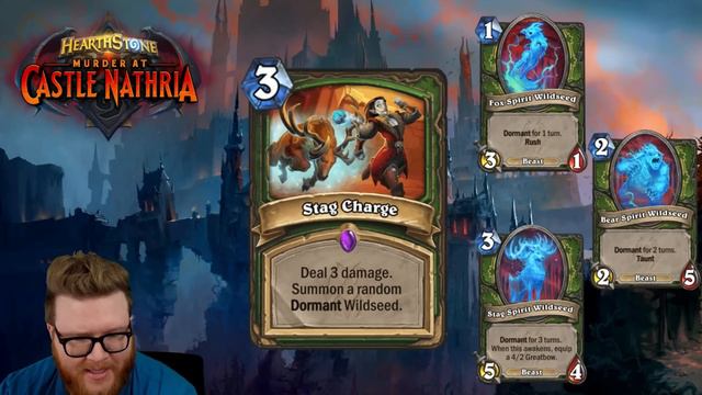 SECRET MAGE LEGENDARY? Perfect Druid card! Wildseeds! | Castle Nathria Review #18 смотреть онлайн