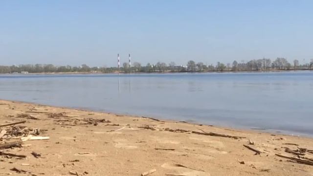 Подготовка хвостатых спасателей брюсомалибусо и спасательного катера к очечному крейзи сезону смотреть онлайн