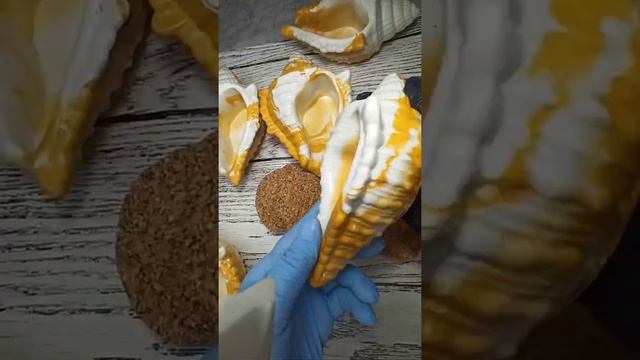 ракушка свеча смотреть онлайн