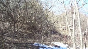 Еще об обрезке КИЗИЛА и одном очень полезном свойстве его.