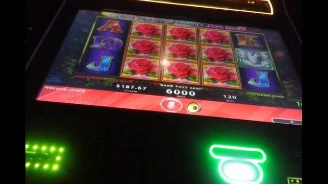 Golden Goddess Slot Bonuses with Full Screen смотреть онлайн