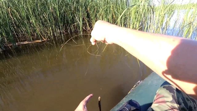Ловля плотвы на Зимнюю удочку с лодки смотреть онлайн