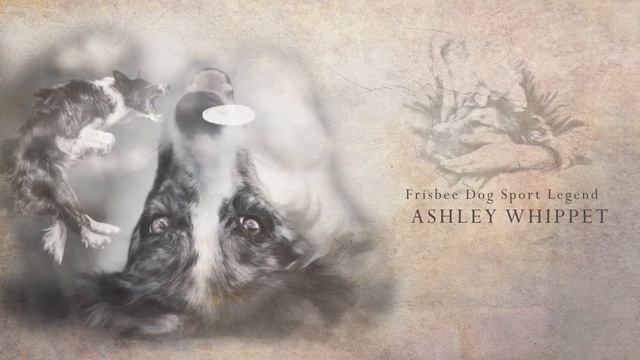 Двойная экспозиция (Double Exposure) смотреть онлайн