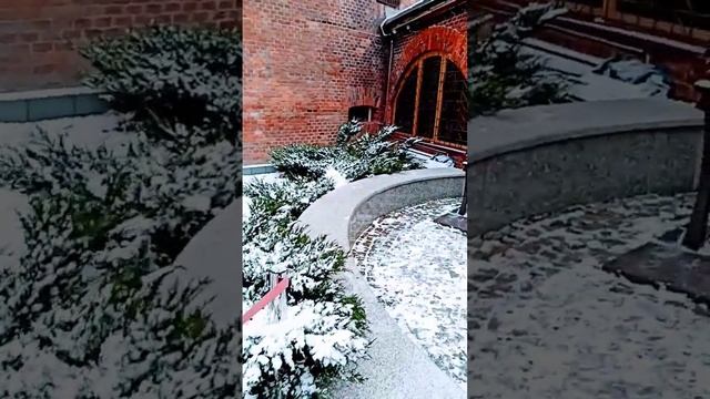 ❄️☃️?️ Первый Снежок ❄️☃️?️