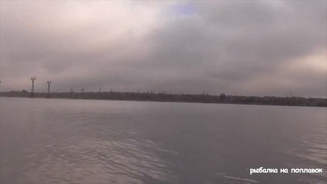 РЫБА КИШИТ, а НАЛОВИЛ ХИЩНОЙ НА ЖИВЦА! Рыбалка на поплавок простой болонской удочкой на реке. смотреть онлайн