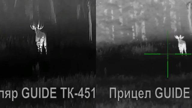 Охота на лося на вабу. Бык не трофейный. Тепловизор Guide ТК451, тепловизионный прицел Guide TU430
