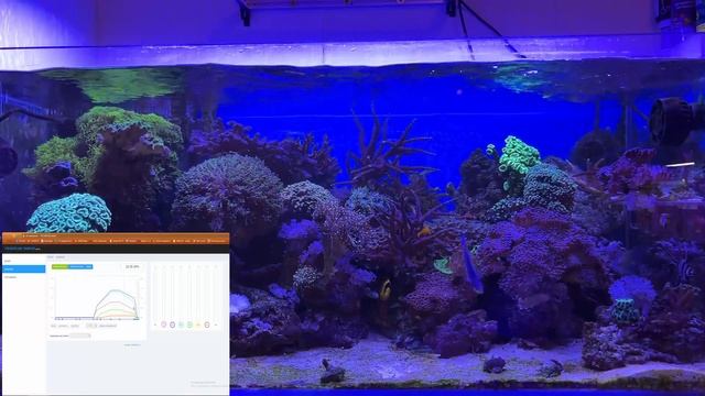 Отзыв о светильнике для морского аквариума Radium PRO 90 после трех месяцев использования смотреть онлайн