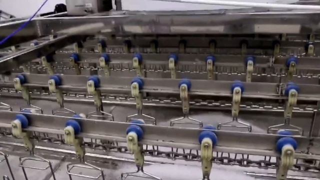 How Eruis Ice Maker Machine Revolutionized Chicken Slaughtering and Storage смотреть онлайн