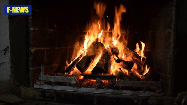 БЕЗКОШТОВНІ ДРОВА від ДЕРЖАВИ. Де та як замовити, останні новини смотреть онлайн