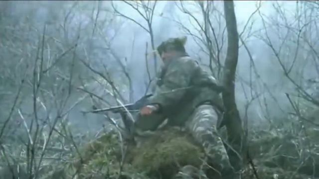 Клип   высота 776   десантура