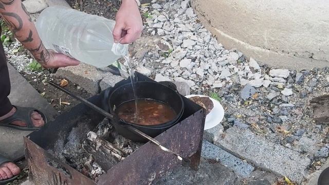 Шоу и Концерты