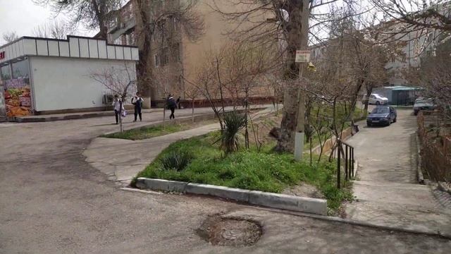 Узбекистан. Ташкент. Цветёт урюк! смотреть онлайн