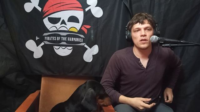 Как выбрать губную гармошку | How to choose a harmonica (ENG sub) смотреть онлайн