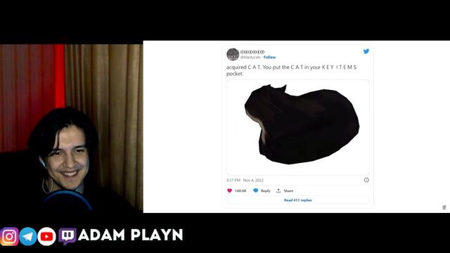 MAXWELL CAT — ОТКУДА МЕМ? ► небуди Реакция от АДАМА ПЛЕЙНА смотреть онлайн
