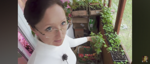 Рассада 25 апреля 2024 года