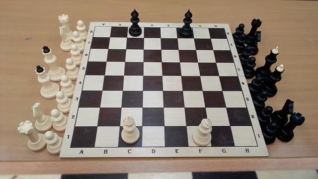 Урок 6 слон - шахматная фигура, ходит. Сhess lesson. Lecciones de ajedrez. смотреть онлайн