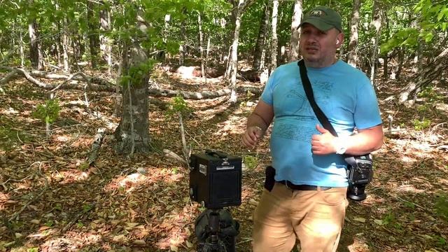 Review of Graflex Rb super D 4x5 смотреть онлайн