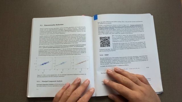 Reviewing The Hundred Page Machine Learning Book by Andriy Burkov смотреть онлайн