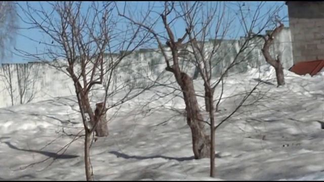 ЧТОБ СНЕГ БЫСТРЕЕ РАСТАЯЛ НА ДАЧЕ смотреть онлайн