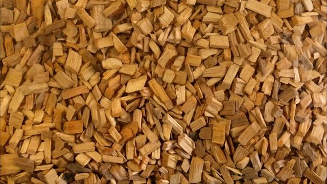 Декоративные крысы - уход и содержание | Как ухаживать за крысой? смотреть онлайн