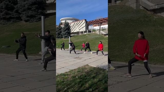 Тайцзи или цигун 