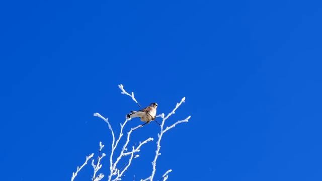 5 Января Вселенная направляет свои волшебные Лучи , каждый изменит свою Жизнь | Лунный Календарь смотреть онлайн