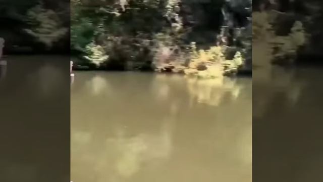 Это на кого такой воблер?/РЫБАЛКА смотреть онлайн