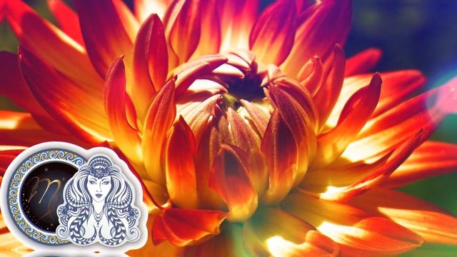 Horoskopi Ditor E Shtune 4 Nentor 2023 Daily Horoscope смотреть онлайн