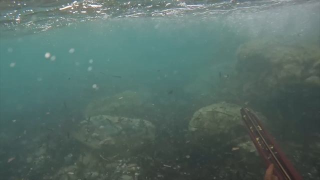 Sorprese *dolorose* nel mare di Ottobre in Sardegna смотреть онлайн