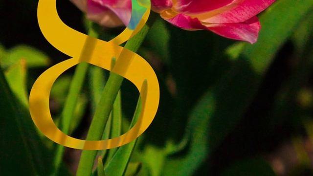 ДОРОГИЕ МОИ ДЕВОЧКИ, С ПРАЗДНИКОМ ВАС! ? смотреть онлайн