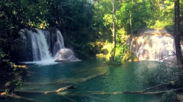 Relax and Sleep Instantly with Calming waterfall sounds in rainforest. White noise.