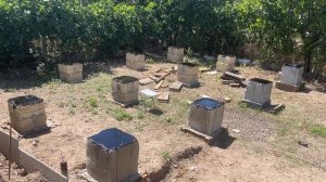 Самый надежный фундамент под каркасный дом