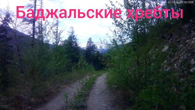 На питбайке по Дальневосточной тайге. смотреть онлайн