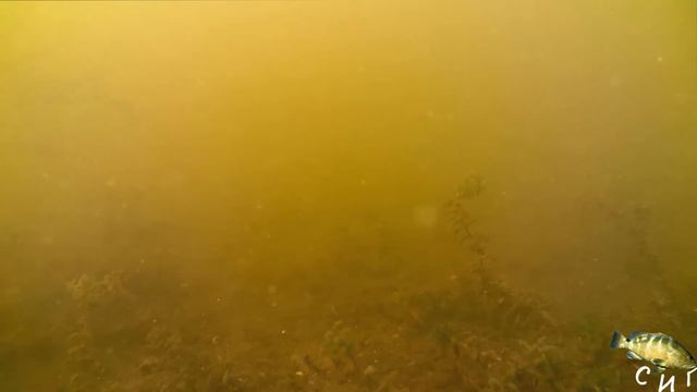 глубина 1,3 м без подкормки смотреть онлайн