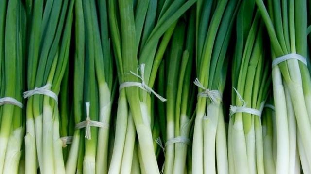 Зеленый Лук на перо зимой как бизнес идея начинающему предпринимателю смотреть онлайн