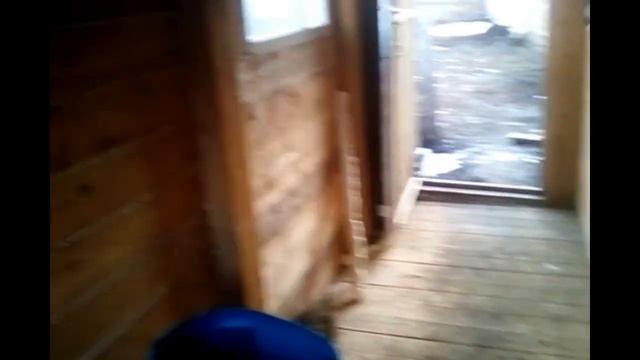 Сарай для свиней. Свинарник своими руками. Сарай 2020. Обзор сарая для свиней. смотреть онлайн