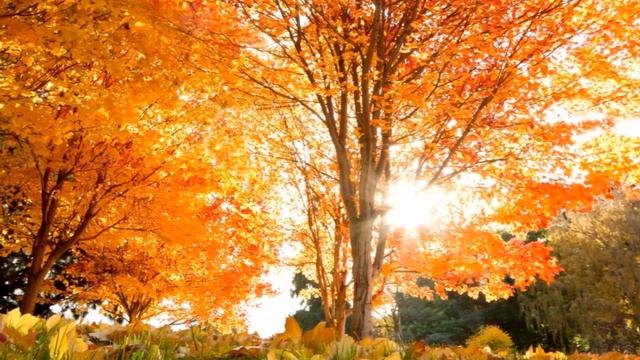 Возвращение в осень смотреть онлайн