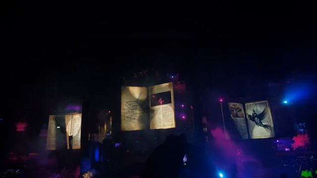 Tomorrowland 2019 - Greyhound with 200.000 people [4K] смотреть онлайн