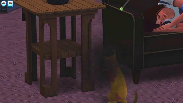 The Sims 3 Pets vs The Sims 4 Cats and Dogs// Which is better? смотреть онлайн